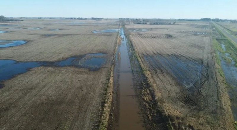 Nacin declar la emergencia agropecuaria en 12 distritos